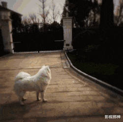 隐婚了?这瓜有点大……