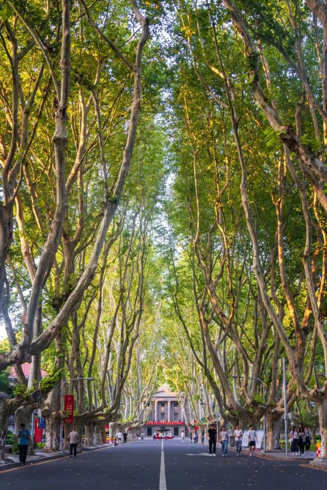 全球冠军！中国首次！来自东大！