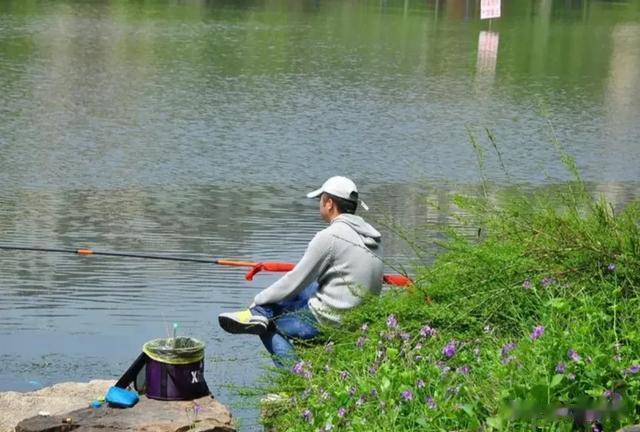 为什么说钓到死鱼要立马走人？知情人说夜钓遇到更要逃离，咋回事