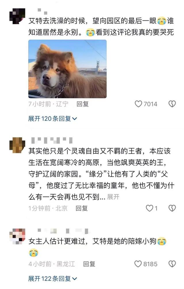 冲上热搜！网红确认去世，陈乔恩发声！