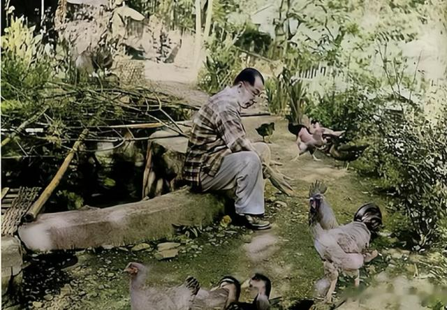 幽禁期间，张学良和夫人赵一荻罕见留影，可以看出他们的真实颜值