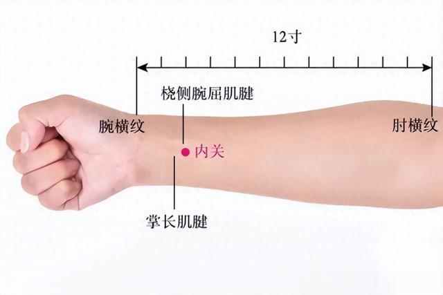 手腕上有个“心脏急救穴”,更是治疗失眠的效穴