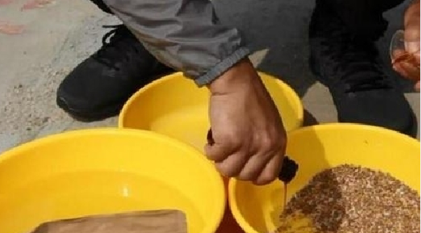 别听别人忽悠了！加藿香正气水钓鱼没有效果，甚至还起反作用