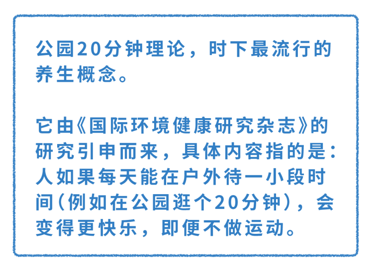 每天走路锻炼的人,最后都怎样了?恭喜!你将收获4个好处