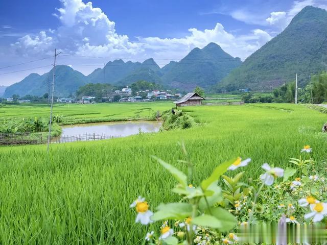 国企“铁饭碗”，铁路、烟草、电投招人，专科、本科可冲！