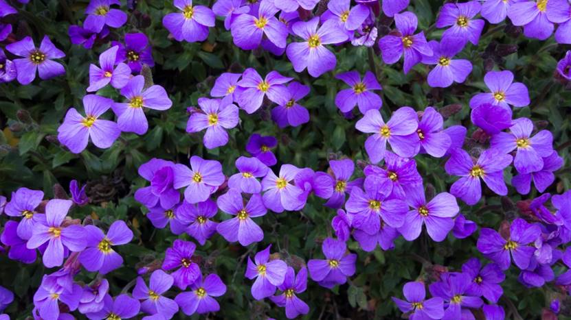 面对行业衰退,如何找到新的就业机会?