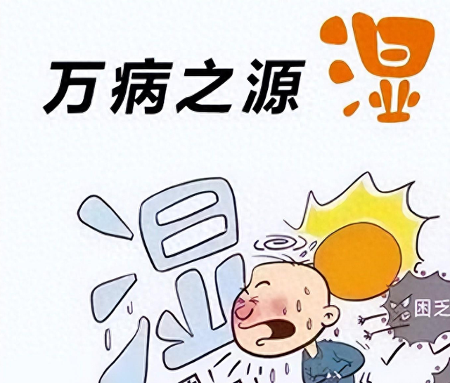 脾湿消化差,肝湿痰多,肾湿功能差,中医一招,横扫一身湿气!