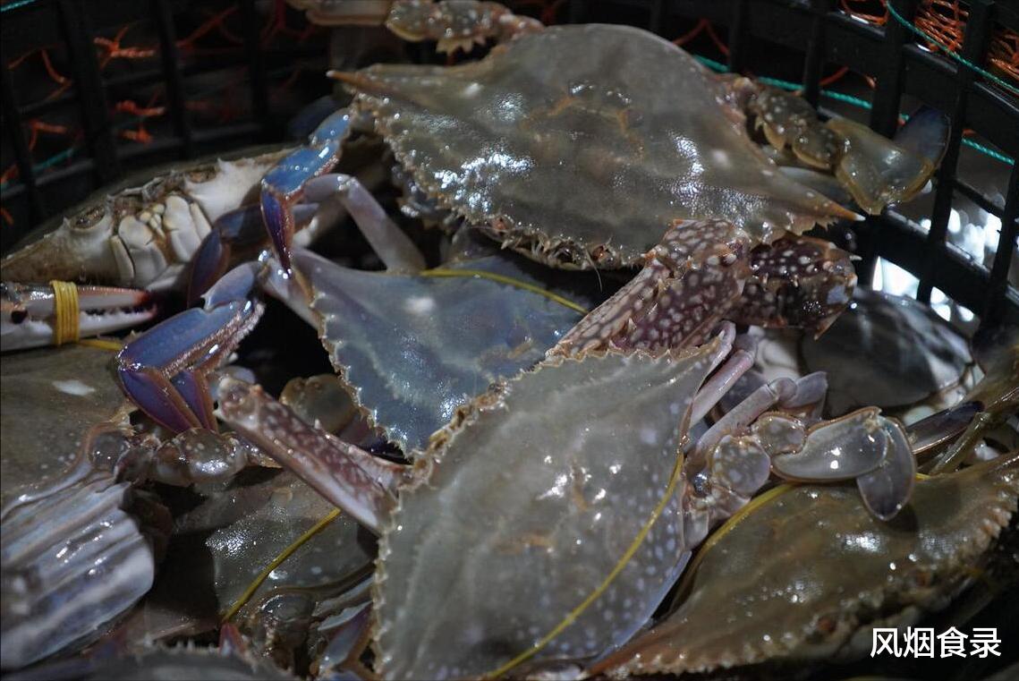 夏天,吃啥应季海鲜?网友推荐这10种,新鲜,肥美,错过再等一年