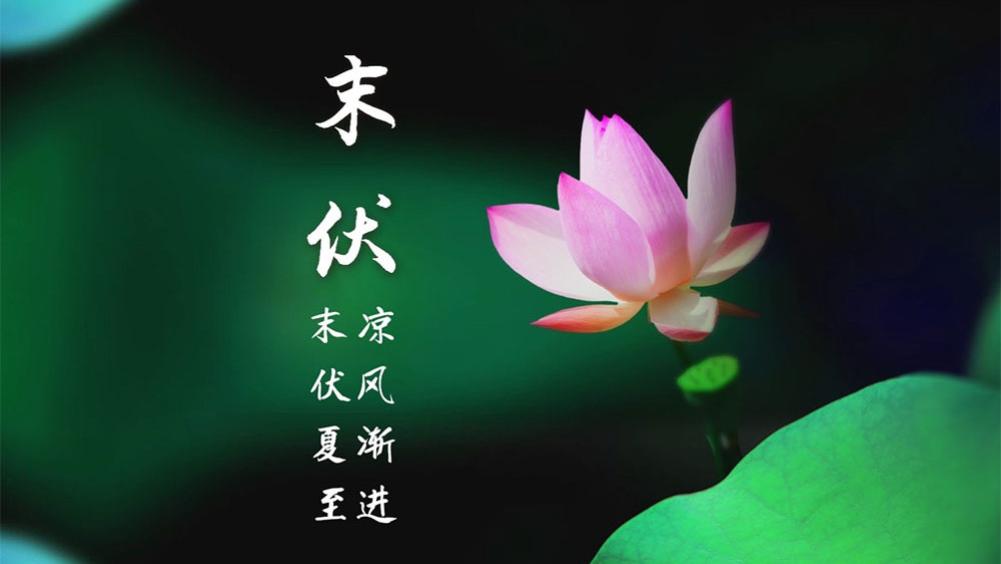 8月14日进末伏，叮嘱家人：多吃2肉3菜，少吃2果，合理忌嘴，养好身体为秋季蓄能