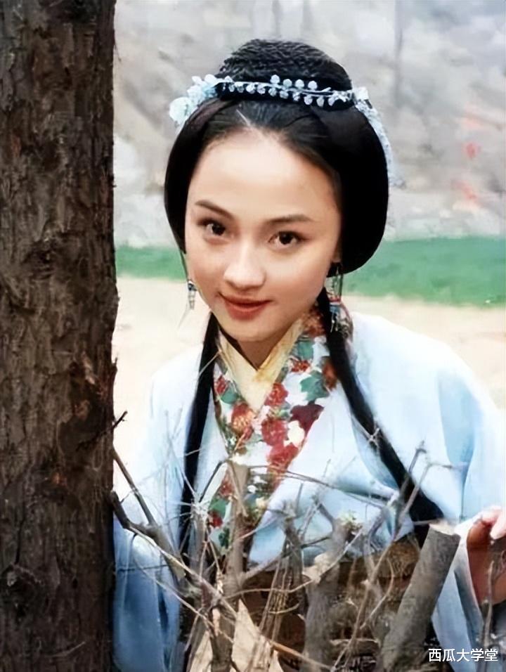 姚笛找男人的眼光有多差,找的老公接二连三的出轨!