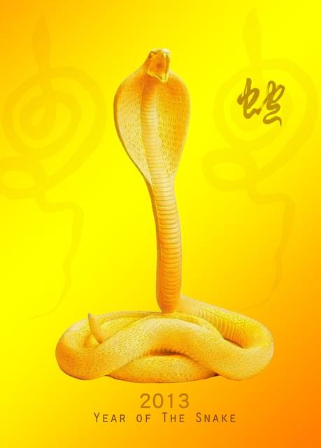 生肖蛇：5月中旬，职业可能会有调整！如何应对？进来看看！