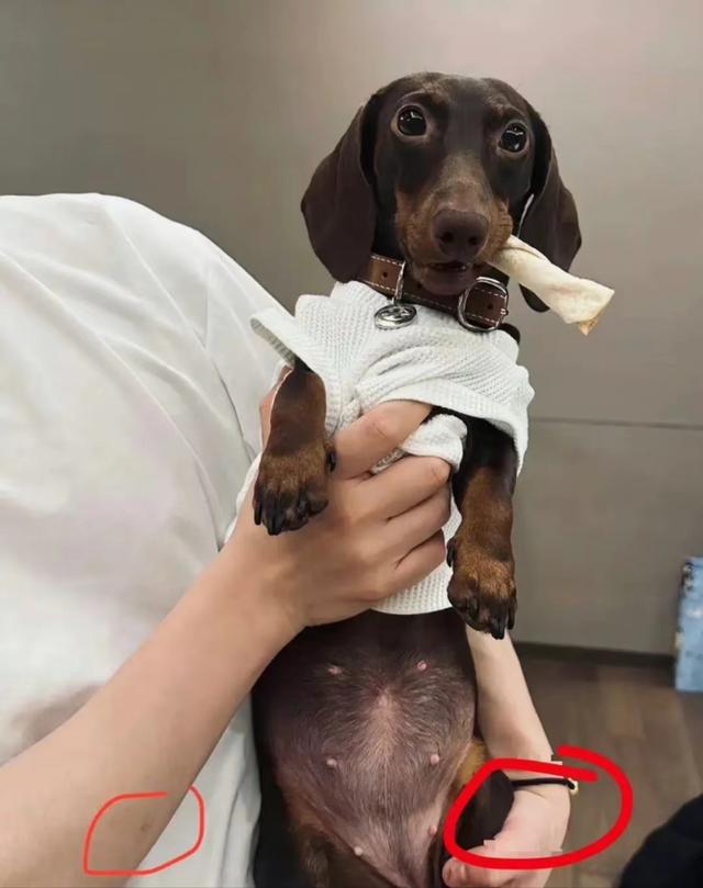 吴露可逃CP成真，细节暴露恋情内幕？网友神评论笑发财