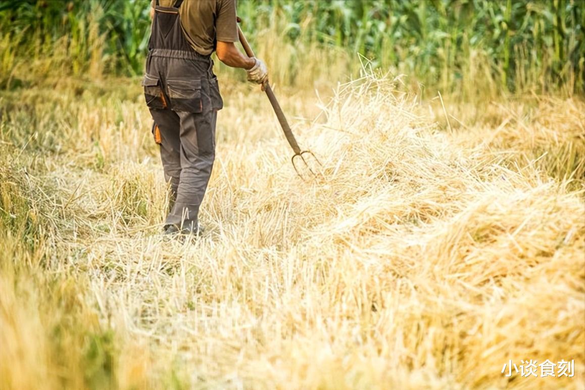 老话说“四月廿九有三怕”,人们到底在怕什么?农村农谚早有答案