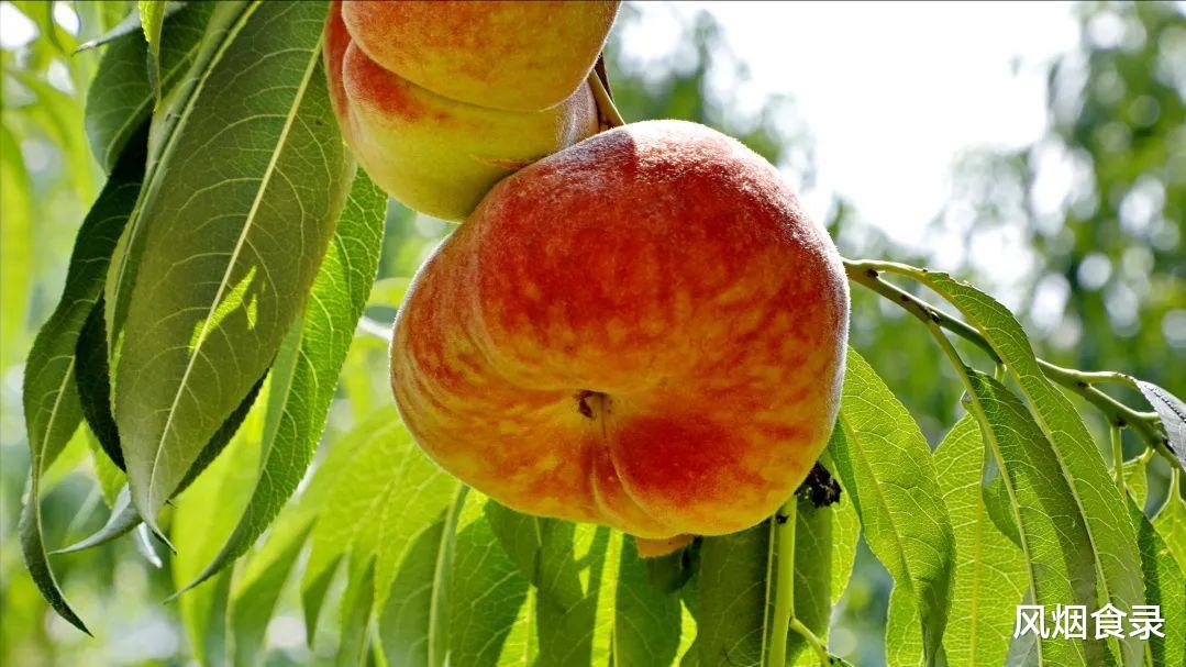 中国哪里的“桃”最好吃？经过评选，这10个地方上榜，有你家乡吗