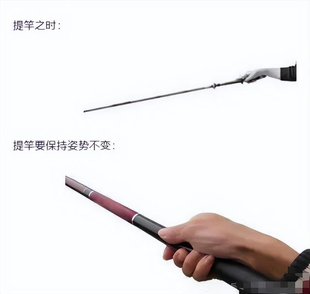 钓鱼进阶技巧：如何更好地持竿、握竿、抛竿