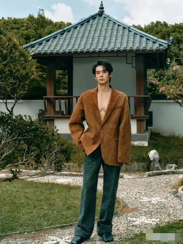 最帅男神重新洗牌,原生态帅哥登顶,李现第8林更新第6吴磊5肖战3