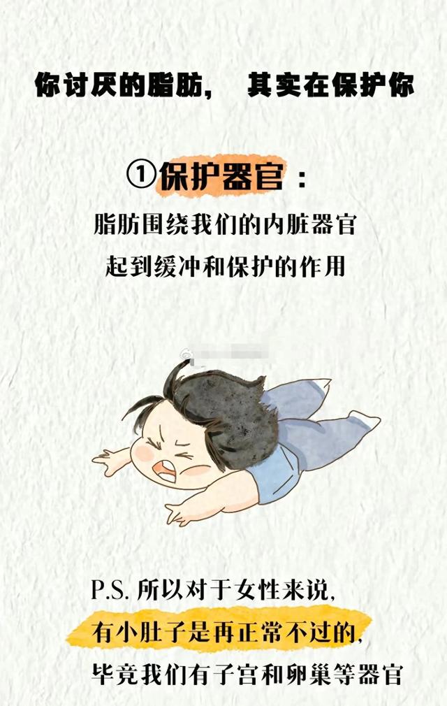 凡事都有两面性，让你讨厌的脂肪也是有正面作用的