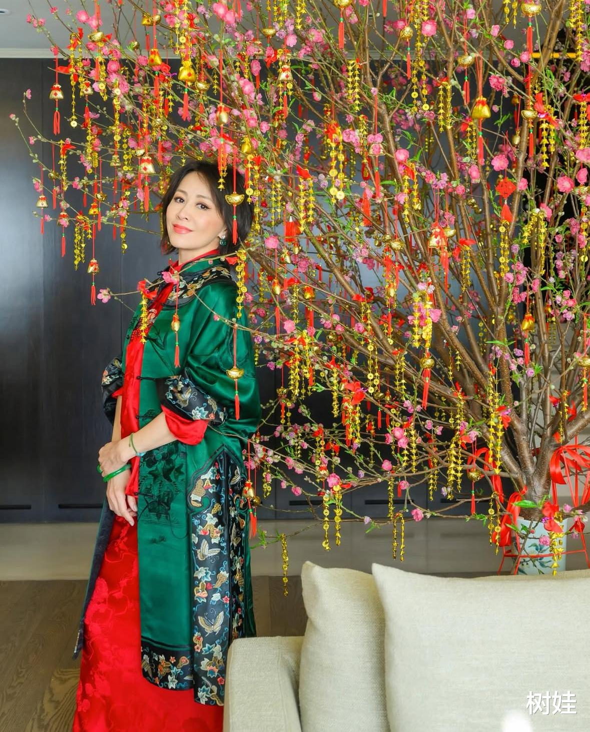 刘嘉玲在两亿豪宅过年，与两只狗在家接财神，大门够气派摆满金桔