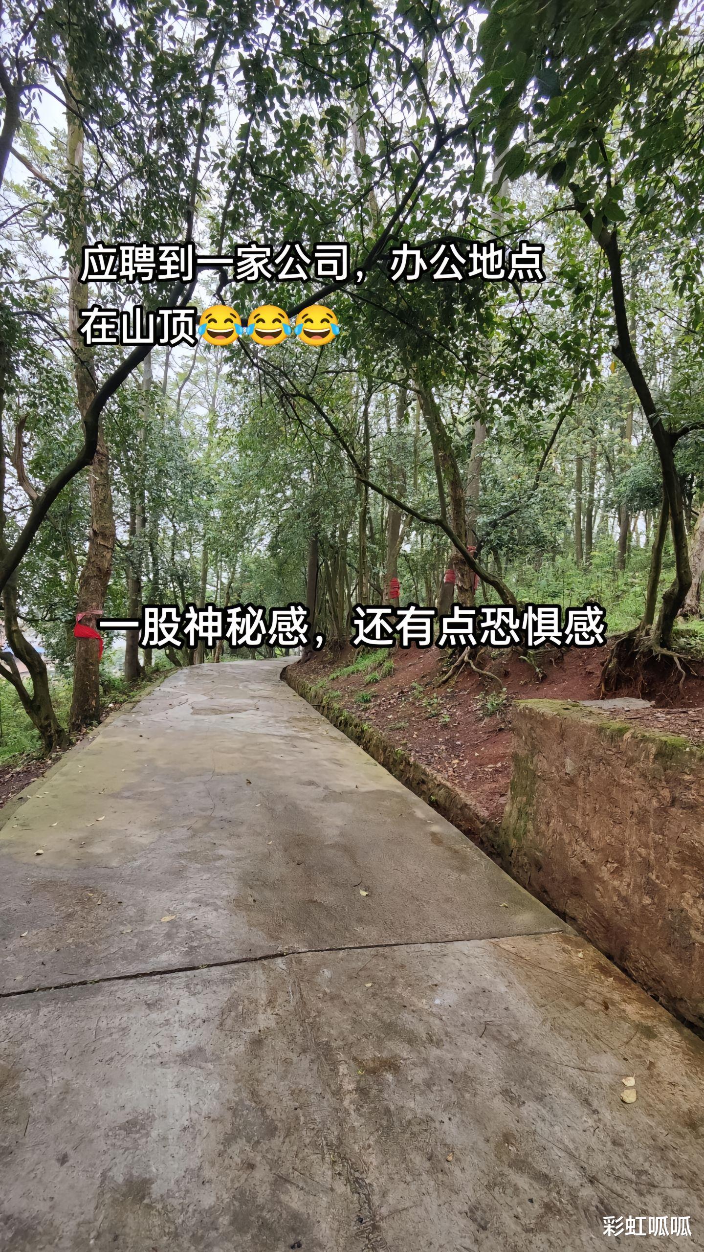 我可以干到退休！贵州一女子去当守山员，追剧玩游戏都没人管