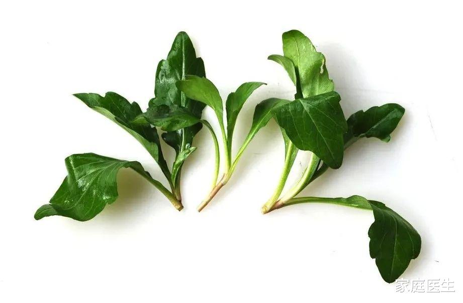 荠菜养肝、香椿健胃、艾草......春吃野菜养人，但这2种千万别碰！