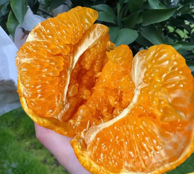 春见、耙耙柑、丑橘是同一种水果吗？区别大了，买错难吃花冤枉钱
