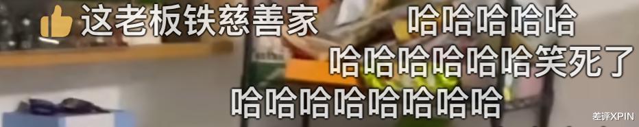 那个被大厂抄袭的小鸡词典,败诉了,也解散了