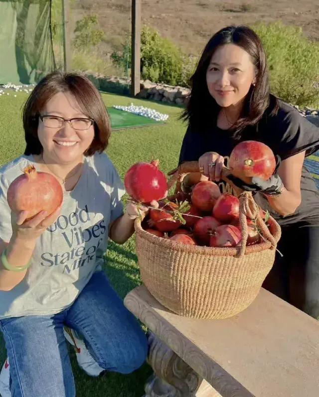 从19岁起男人不断，49岁还没玩够，“风流才女”徐静蕾现形记