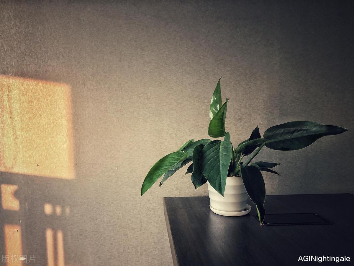 职场中，比工作更累的，是情绪劳动