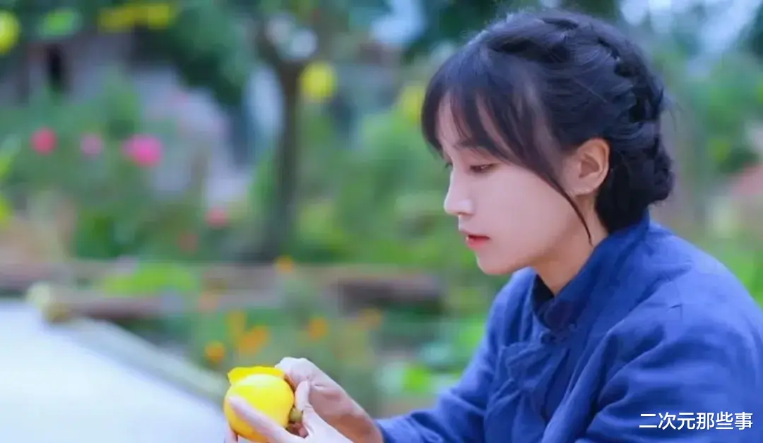 李子柒复更后,模仿李子柒的越南网红也复更了,真就逮着抄?