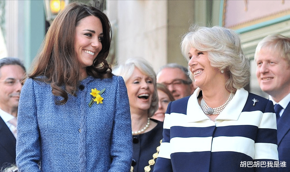 打败两任太子妃,卡米拉实力不容小觑,难怪哈里都不敢轻易挑战她