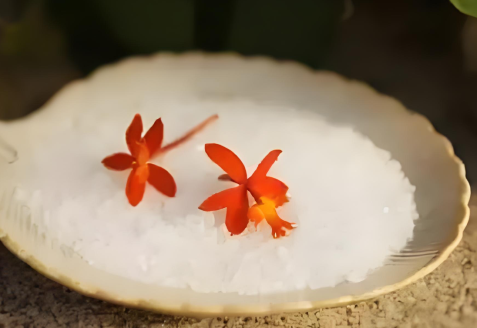 “小暑大暑，上蒸下煮”是什么意思？进入暑天有何消暑“凉”策？