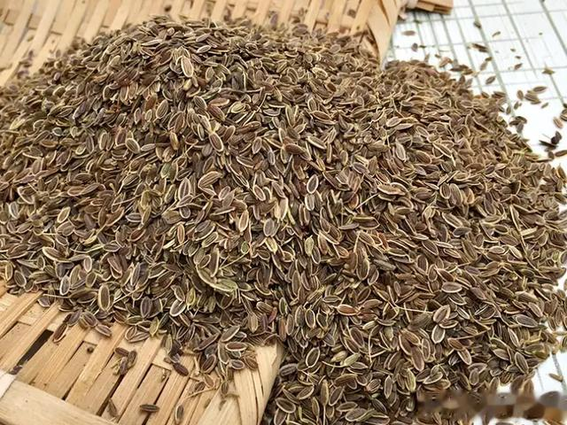 不管炖牛什么部位，一斤肉用1克它，立马香味扑鼻，肉越炖越香