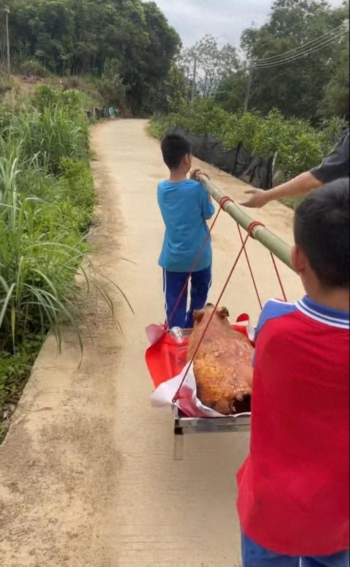 3位香港男星清明节回家乡祭祖，甄子丹最接地气像朴实农民大叔