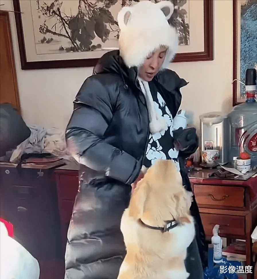 周海媚北京别墅近况曝光：园子荒凉萧条落寞，后院只有向日葵绽放