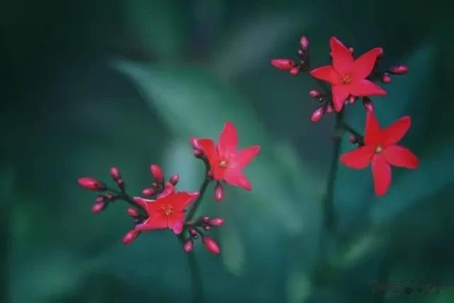 身在职场,小心围猎和陷阱