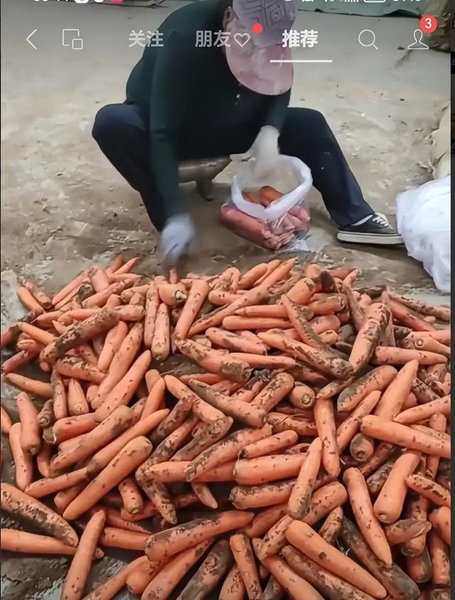 如今连胡萝卜上的土都是假的!谁能告诉我,究竟还有什么是真的?