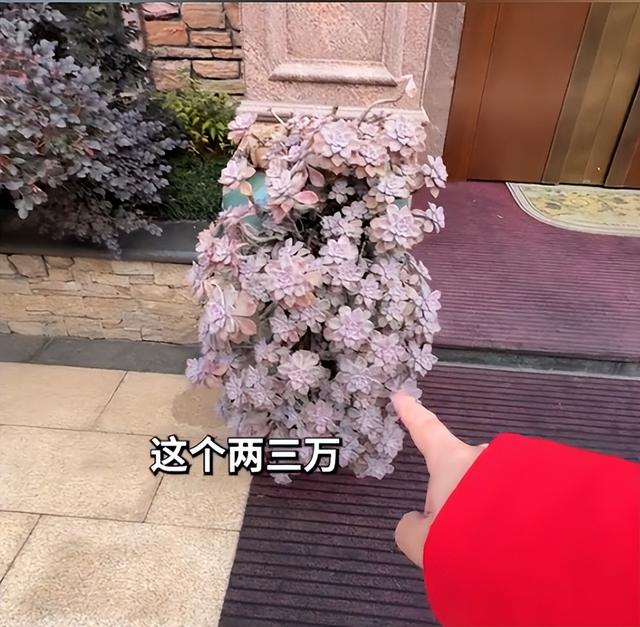 最懵逼富二代:麻辣王子的"少爷"被隐瞒家产20年,毕业愿望是还债