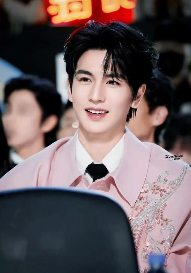 平心而论,内娱真正的绝色美男只有12位,他们酷帅雅痞,清新性感