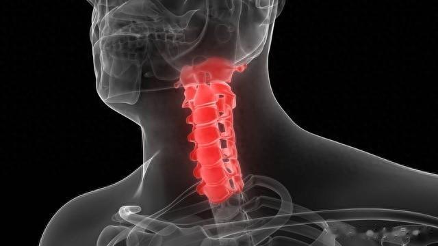 秘方来了,两味中药煮水喝,可治腰疼、腿疼、胳膊疼、颈椎疼!