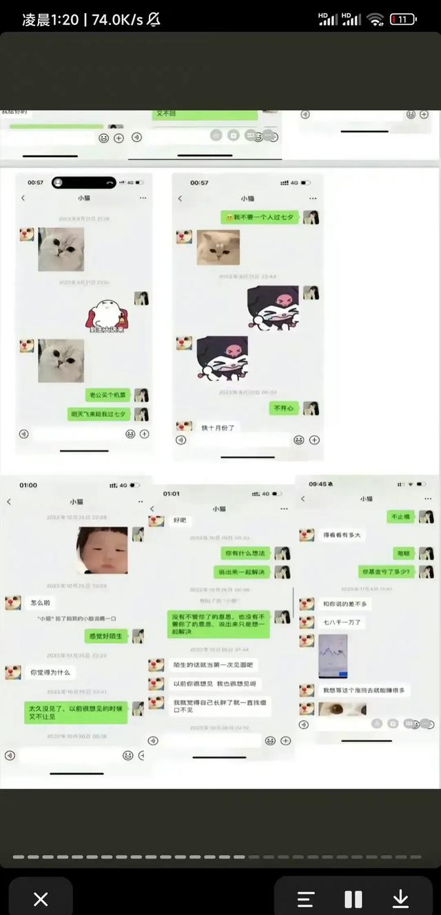 谭竹深夜发文再次回应,对网上舆论逐条澄清,发和胖猫的聊天记录