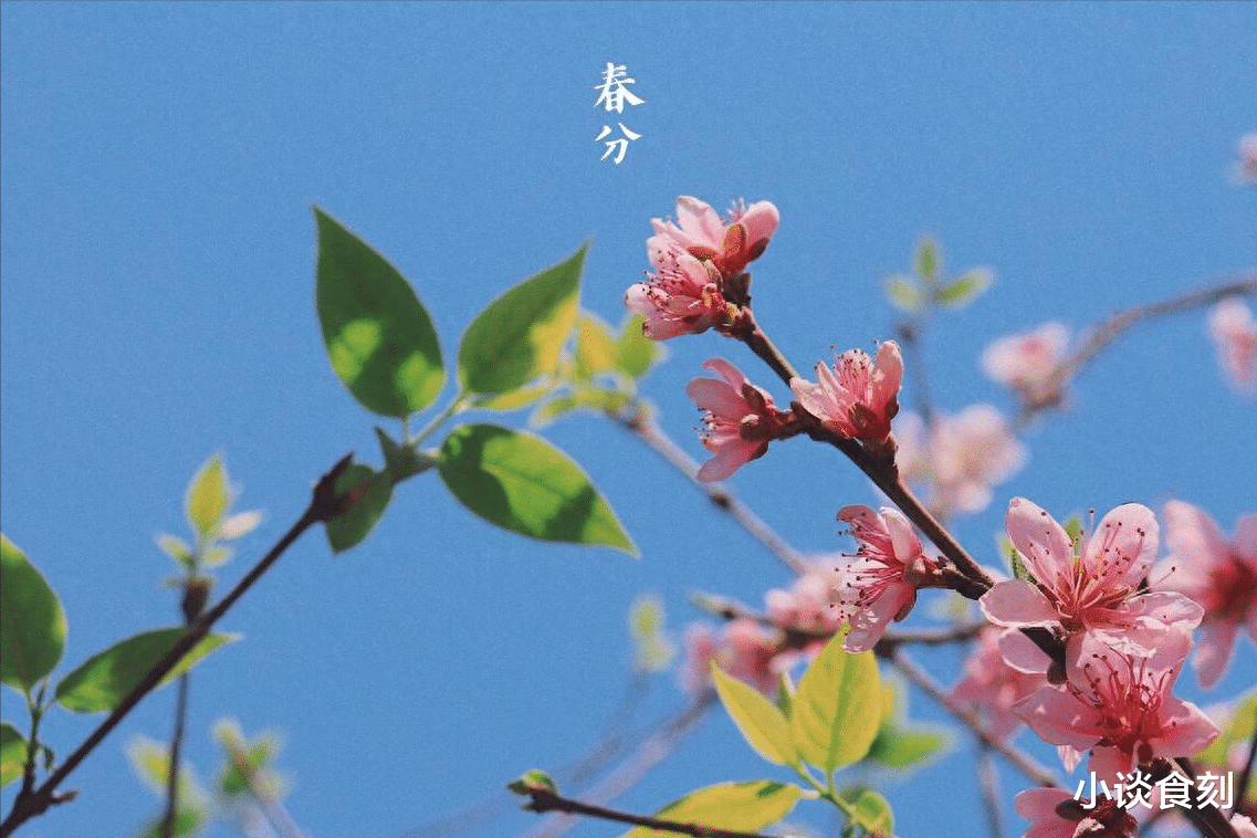 3月20日春分，老人说“最怕春分一日晴”，为啥要怕？农谚有答案