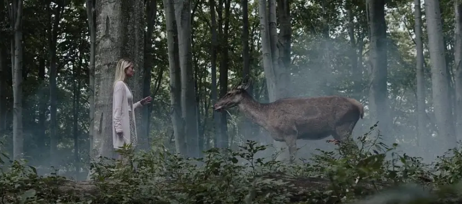 2024年5部最新恐怖电影推荐,惊恐的氛围让人毛孔直立