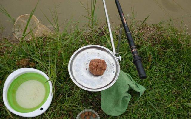 春天是钓鲤鱼的好时机，但你要注意这些细节！选对水深、天气、饵料，让你钓鱼不再空手而归！