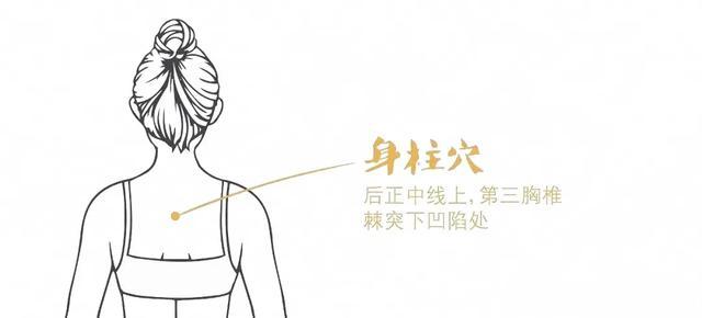 “夏天开背，人活百岁”，中医力荐的五个养背方法，简单管用！