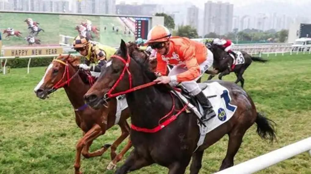 郭富城元旦陪家人看赛马，爱驹夺冠心花怒放，小22岁娇妻美艳动人