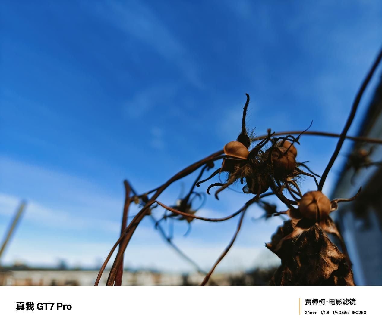 不到四千入手骁龙8至尊版?真我GT7 Pro首发评测:游戏长焦两手抓