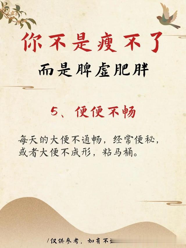 脾虚肥胖的真相:为什么你总在减肥路上徘徊?