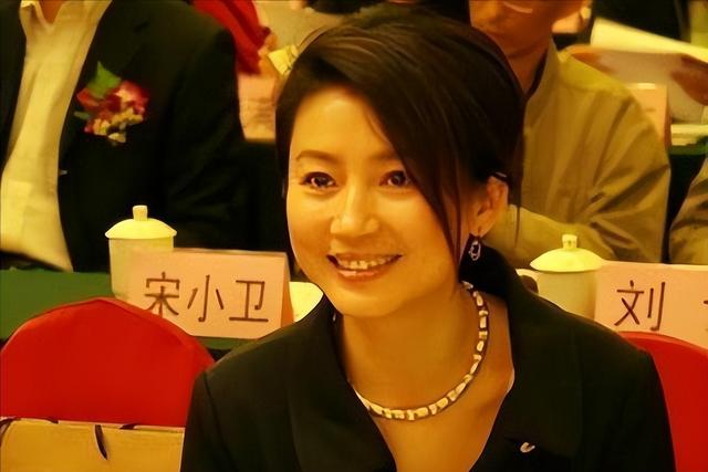 曾红过董卿的王小丫,二婚嫁大13岁副国级,今56岁无儿无女太凄凉