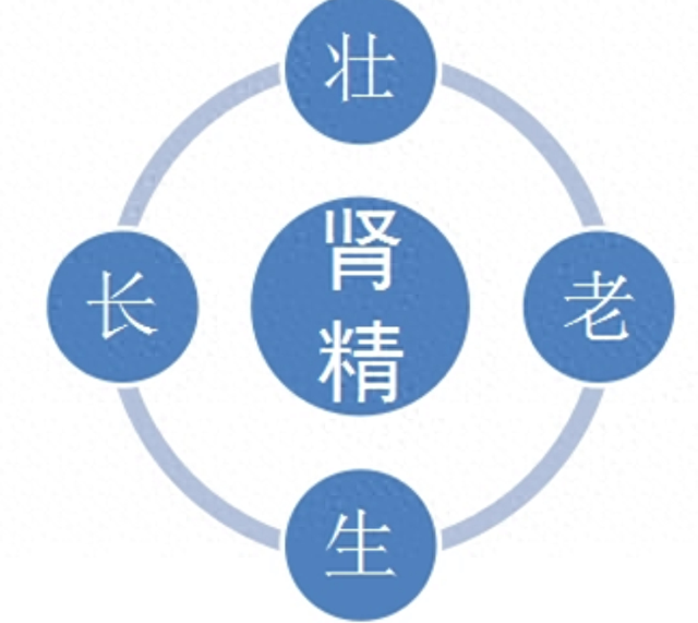 少不更事，肾精过损，如今一触即溃？一个固精方，帮你锁住肾精！