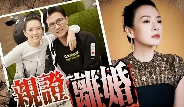 刘大锤爆料汪峰章子怡离婚原因:不是因为男方